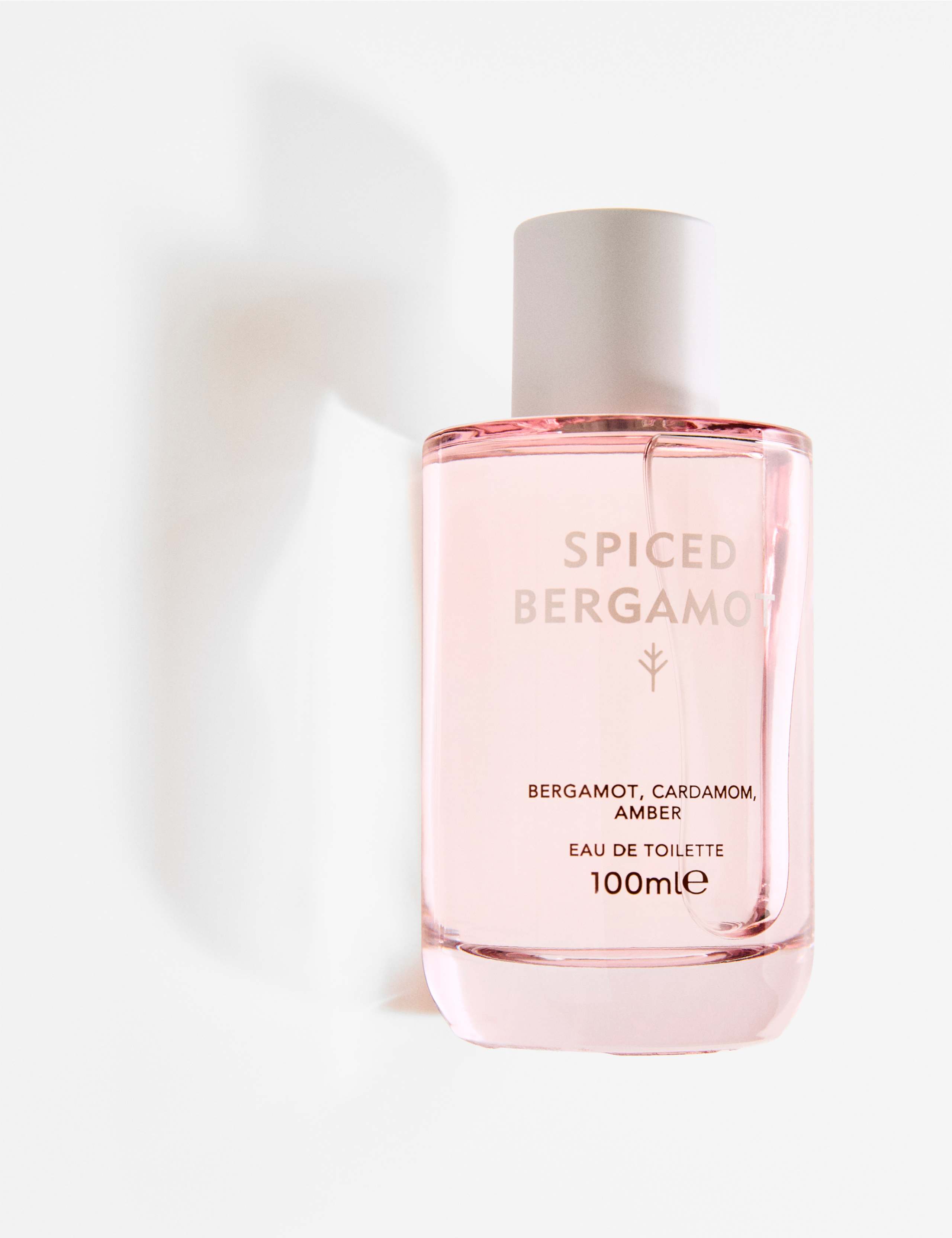 Spiced bergamot eau de toilette 100ml bottle (British brand)