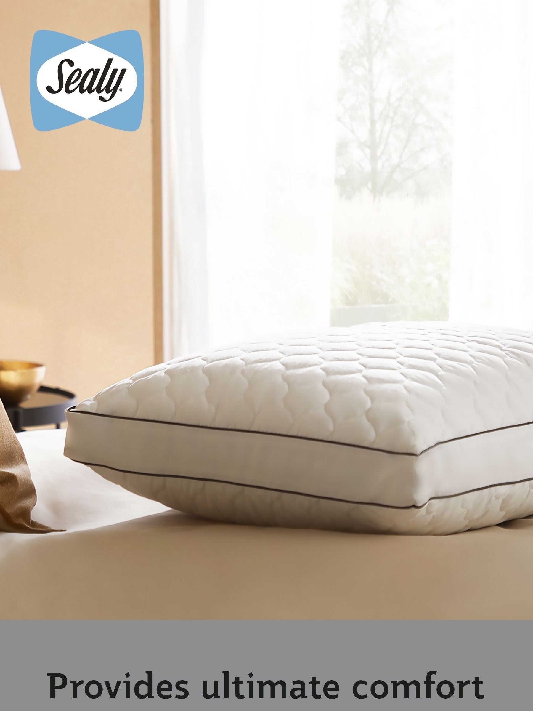 Sealy Side Sleeper 100% Cotton Pillow