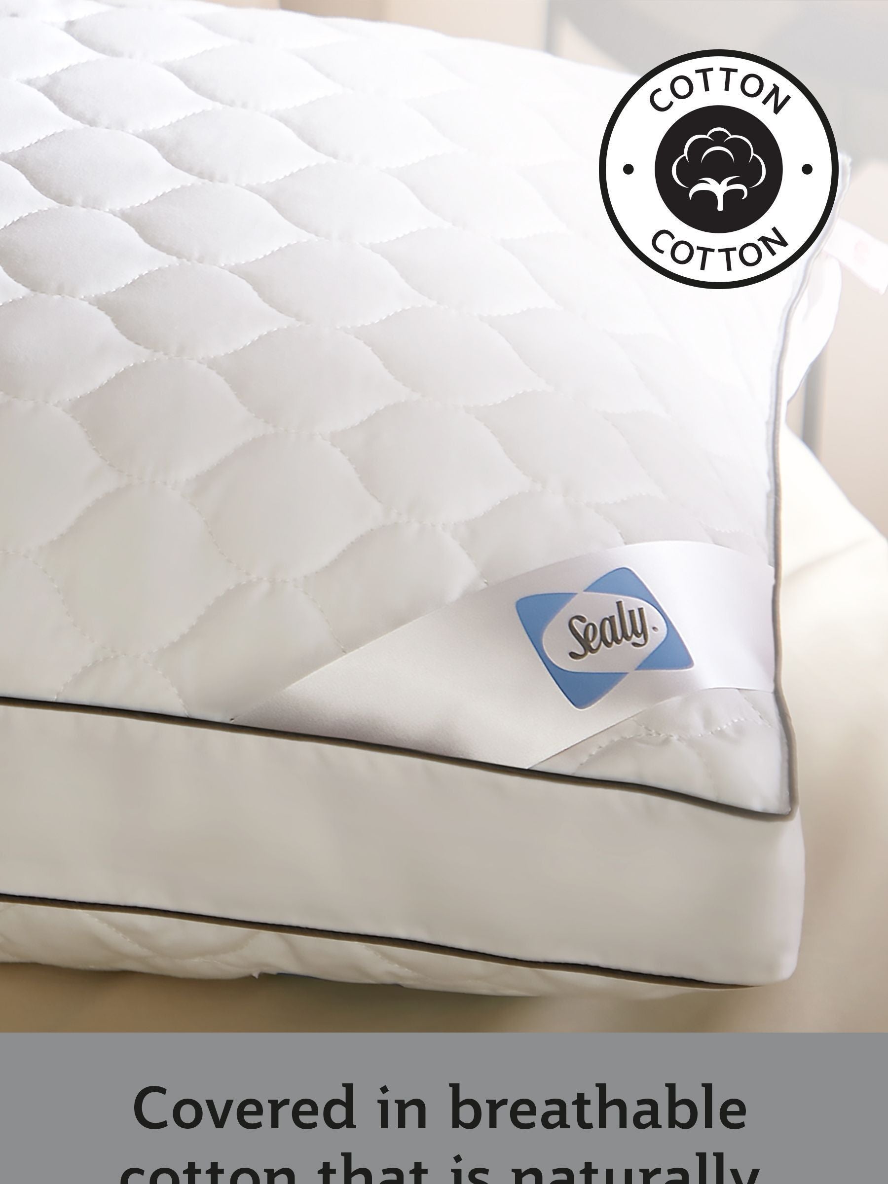 Sealy Side Sleeper 100% Cotton Pillow