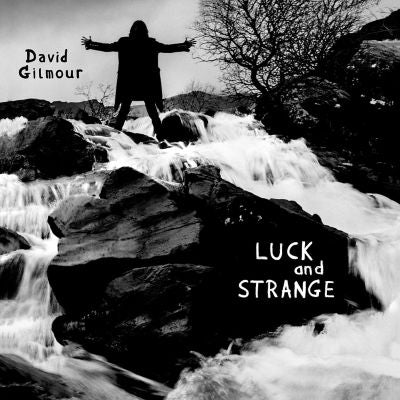 David Gilmour Luck and Strange CD Album - British product