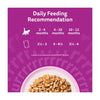 Whiskas kitten poultry wet cat food pouches 12 x 85g (British brand)