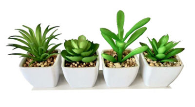 George Home mini faux succulent in white pot, UK version