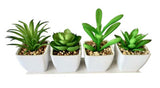 George Home mini faux succulent in white pot, UK version