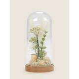 George Home white bell jar with dried florals 10x10x21cm, UK version