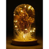 George Home yellow dry flower bell jar with LED light, UK version