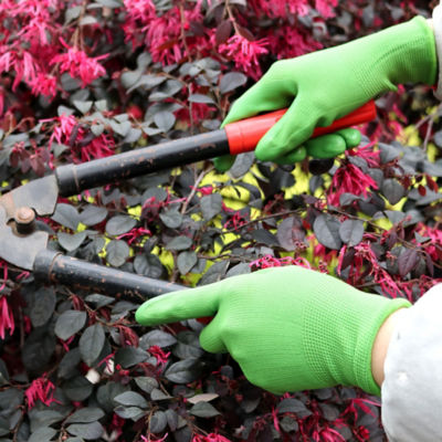 ASDA Medium Garden Smooth Gloves - British product