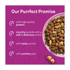 Whiskas salmon cat food 1.9kg (British brand)