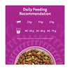 Whiskas salmon cat food 1.9kg (British brand)