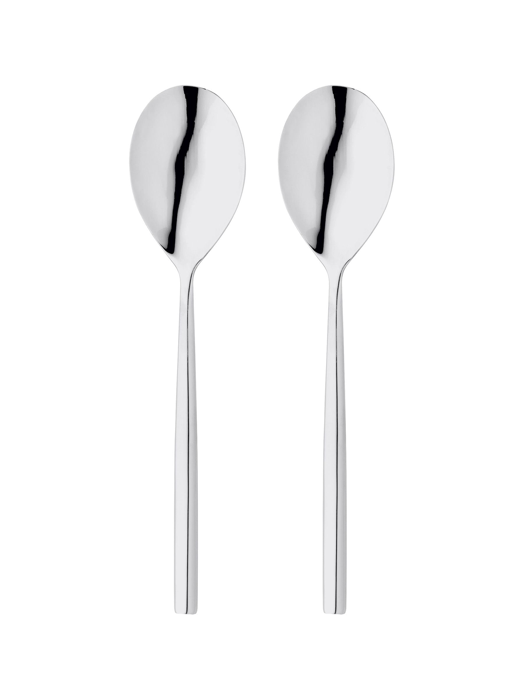 Stellar Silver 2 Piece Serving Spoon Set