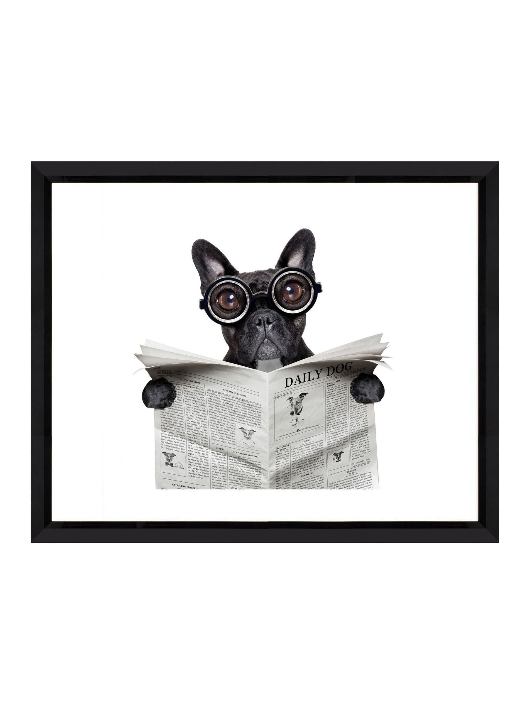 Brookpace Lascelles Bulldog News frame 56x46cm - British product