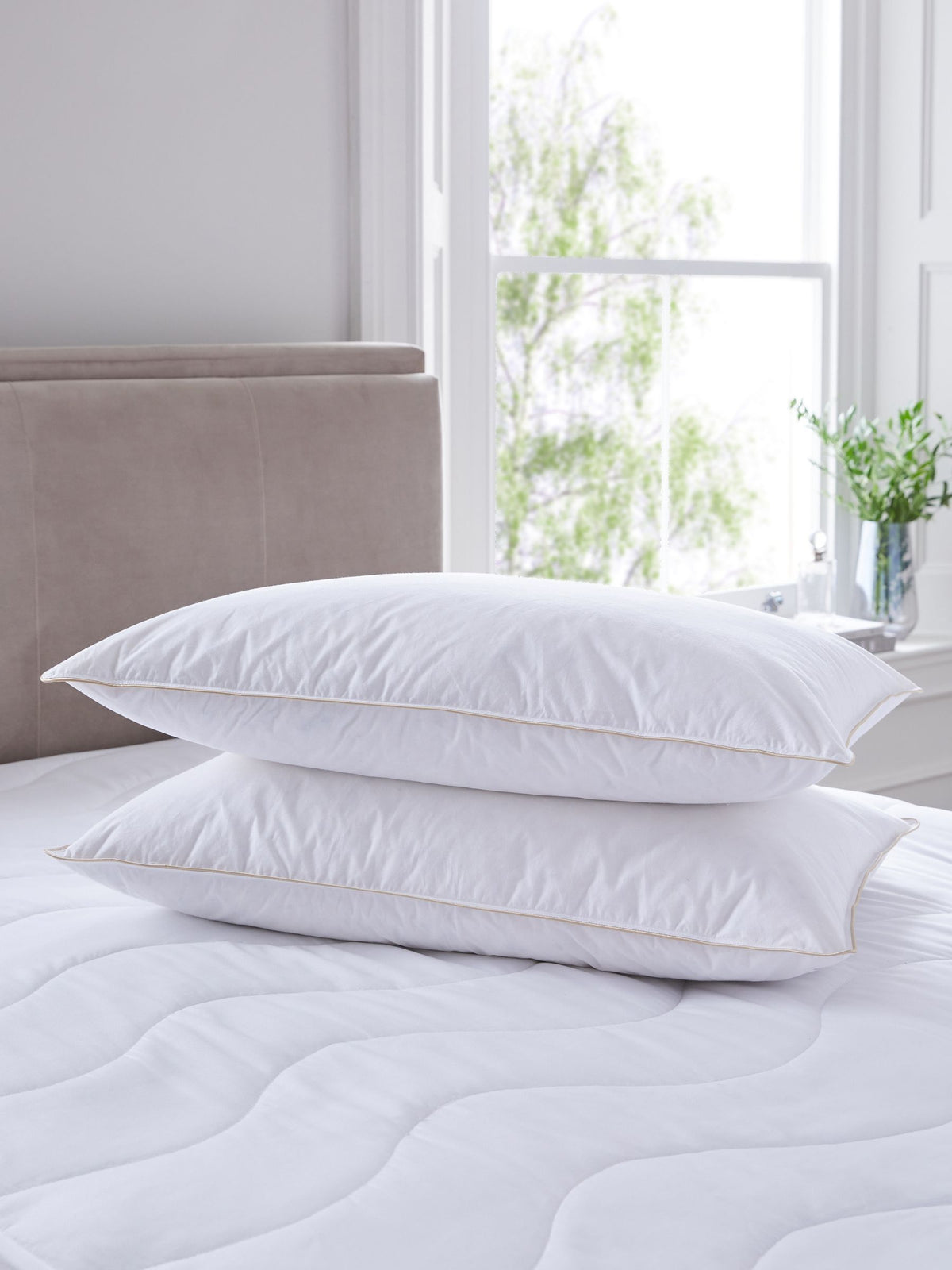 Soft goose feather and down pillows 2-pack (British brand)
