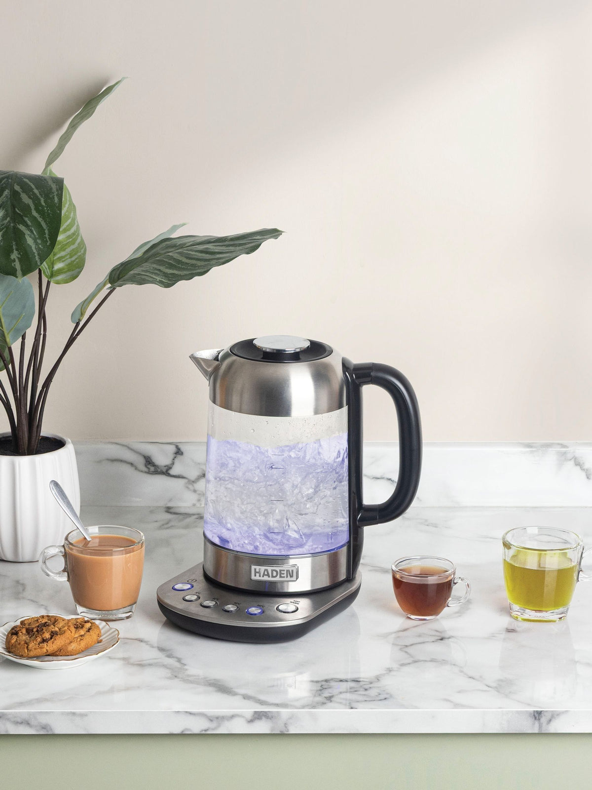 Haden Richmond Variable Temperature Glass Kettle