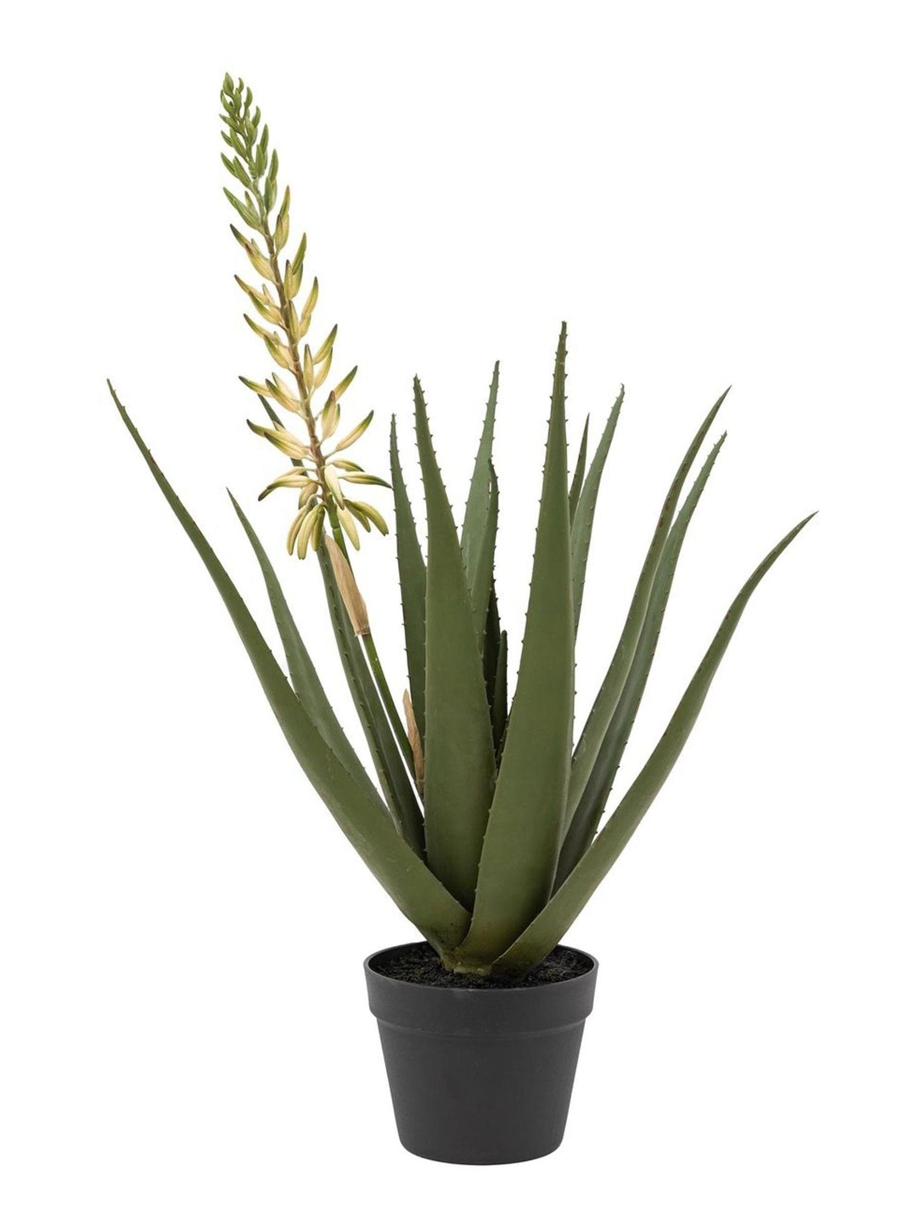 Gallery Home white faux aloe potted plant with flower 81cm, UK version