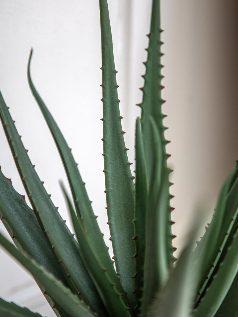 Gallery Home Faux Aloe Vera Ceramic Pot 51cm, UK version