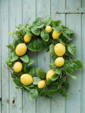 Dibor green agrumi lemon wreath 50cm - British product