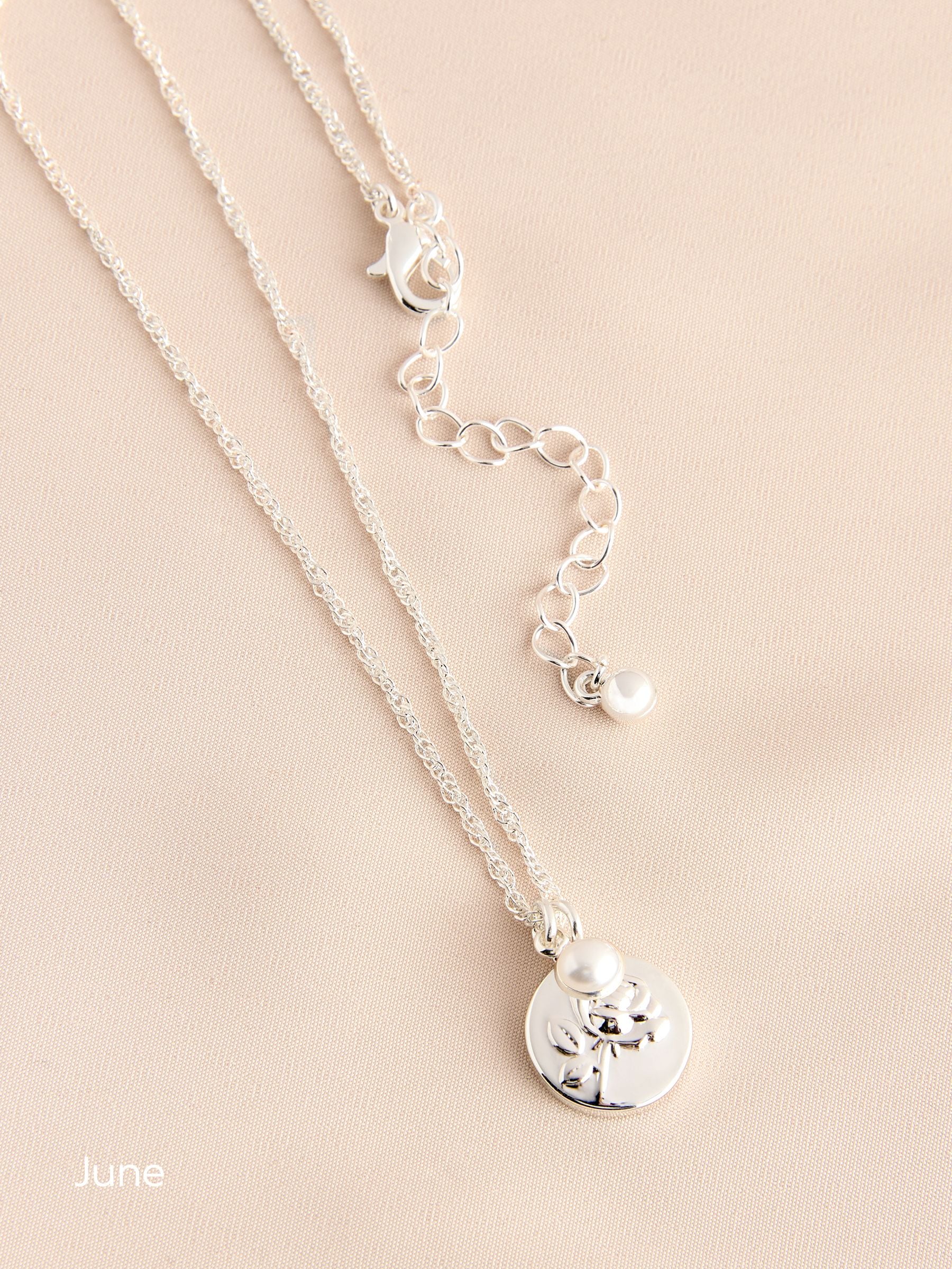 Silver Tone Birthstone Birth Flower Necklace