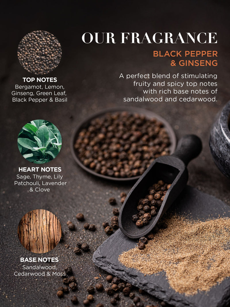 Baylis Harding black pepper ginseng travel set - British product