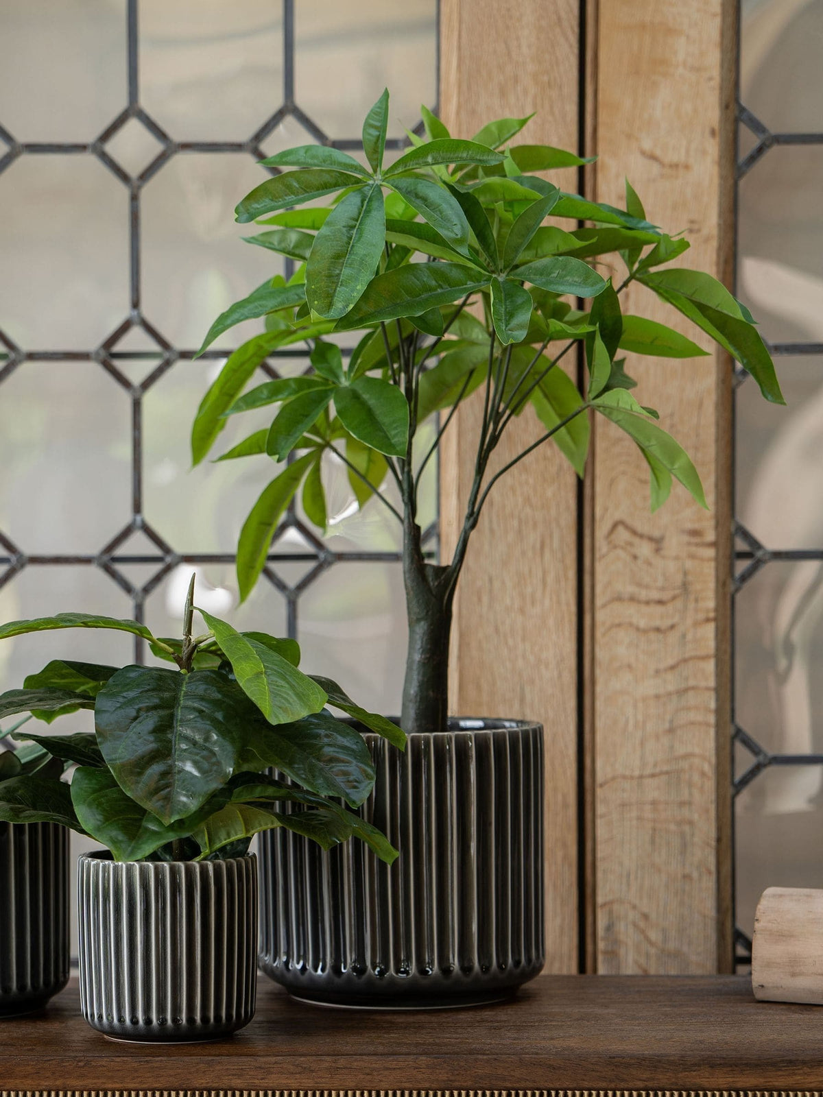 Libra Interiors Green Faux Pachira Money Plant, UK version
