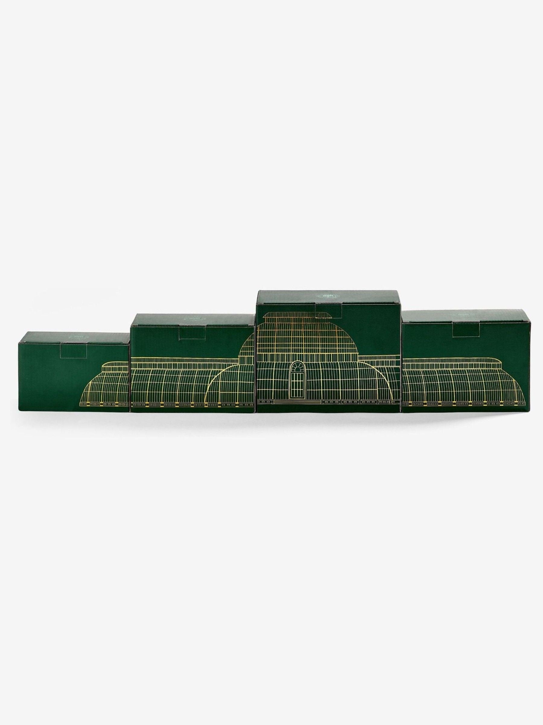 Kew Gardens clear palmhouse martini glasses set of 2, UK version
