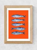 East End Prints Oak Sardines Orange wall art - British product