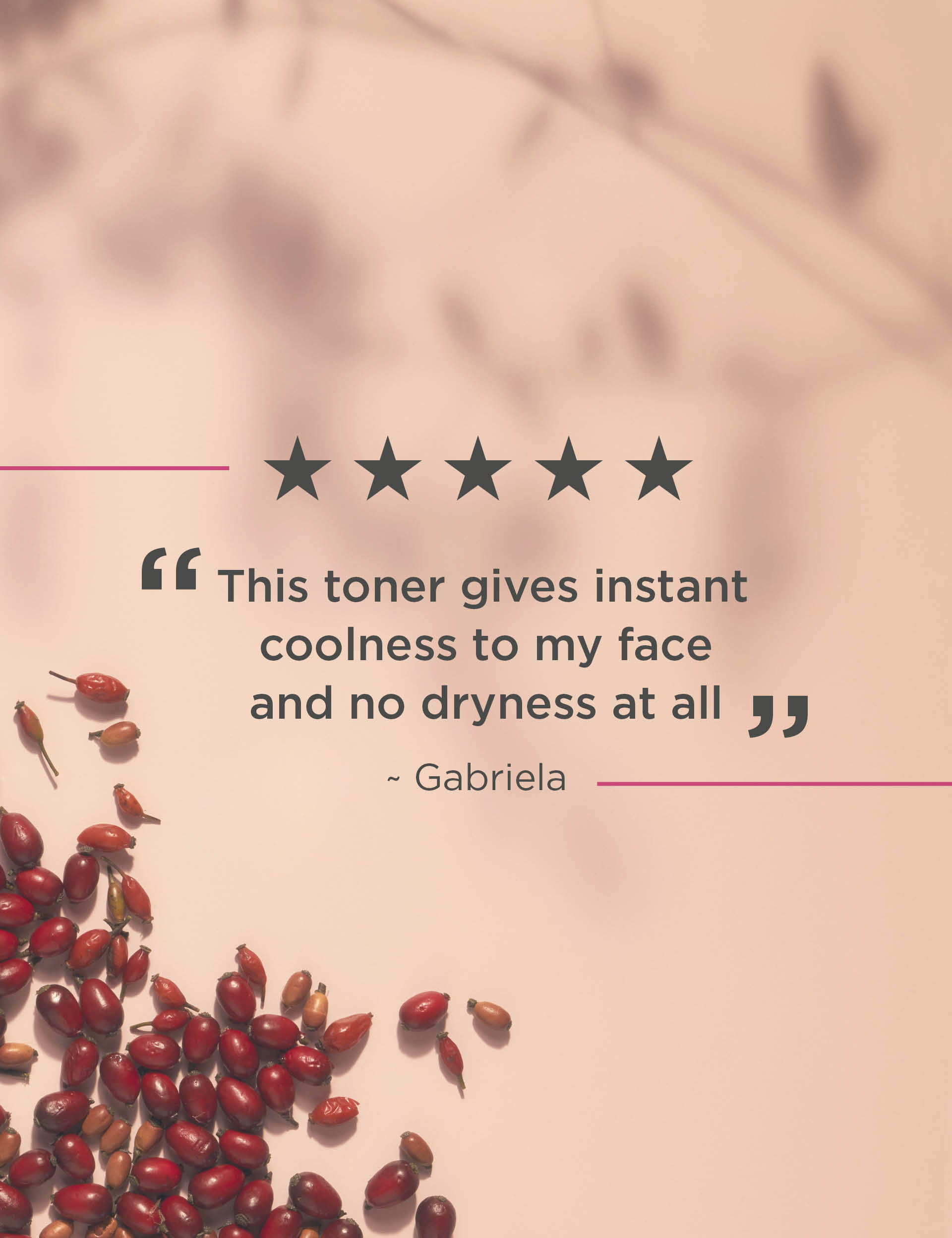 Neal's Yard Remedies Wild Rose AHA Toner 200ml (British brand)