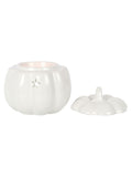Something Different White Pumpkin Oil Burner