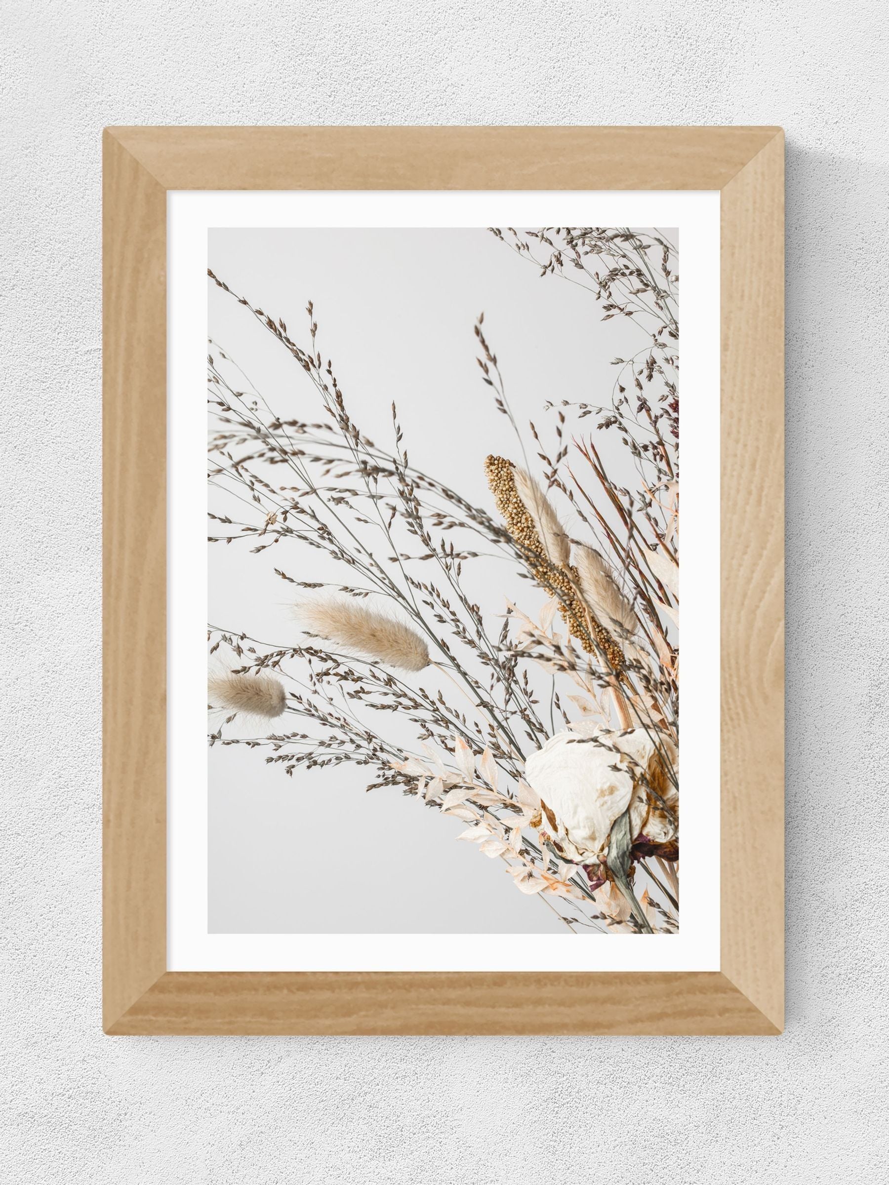 1x Gallery Oak Dried 008 wall art print - British product