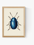East End Prints oak mustard beetle art print - British product