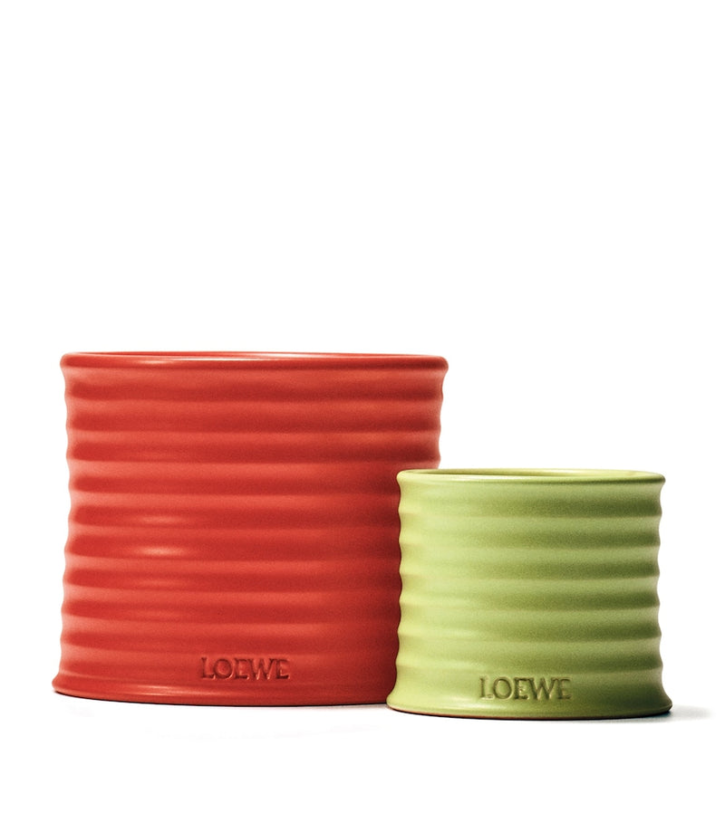 LOEWE Tomato Leaves candle 170g, UK version
