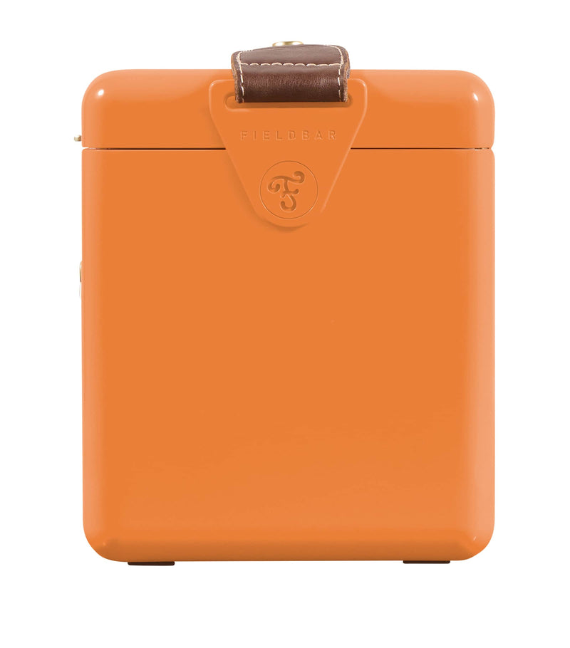 Fieldbar Mini Bar Cooler Box with leather sling 4L - British product