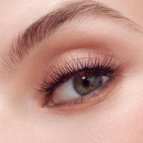 Kiss strip lashes Multipack Natural, imported from the UK