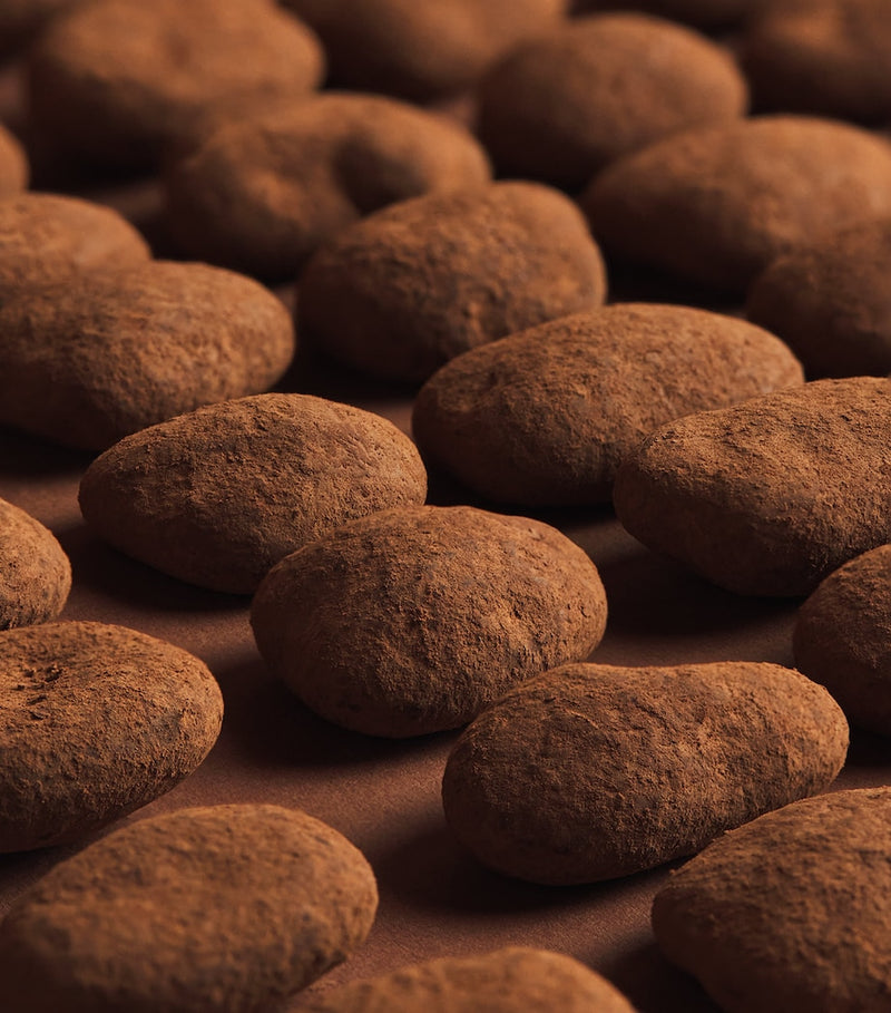 Harrods Milk Chocolate Cocoa Dusted Pecans (270g)