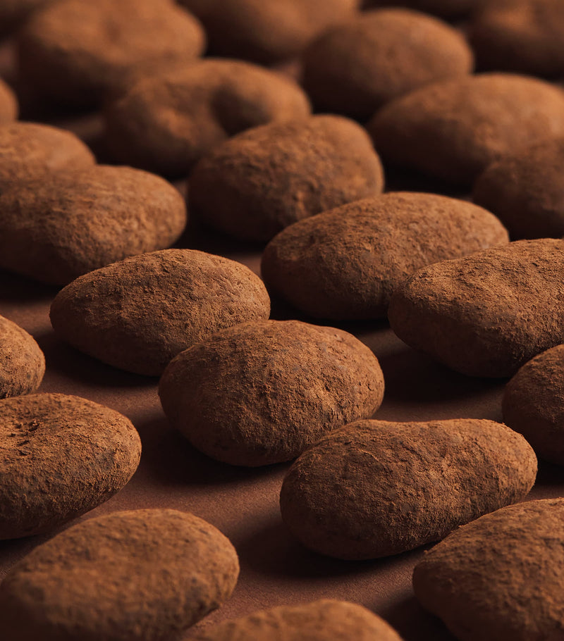 Harrods Milk Chocolate Cocoa Dusted Pecans (270g)
