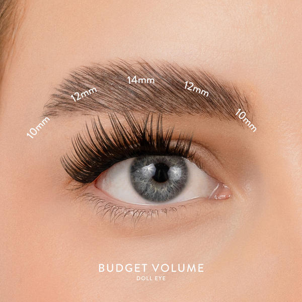 House of Amor Budget Volume Lashes 50pcs, UK version
