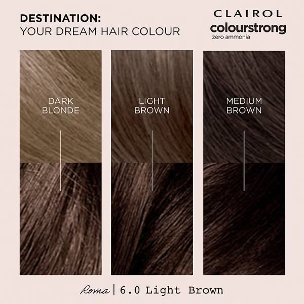 Clairol Permanent Hair Dye Kit 6.0 Light Brown - British product