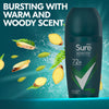 Sure Men Quantum Dry roll-on antiperspirant 50ml (British brand)
