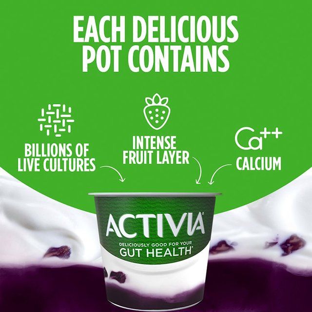Activia Blueberry Acai Fusions Yoghurt    4 x 120g - McGrocer