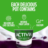 Activia Blueberry Acai Fusions Yoghurt    4 x 120g - McGrocer