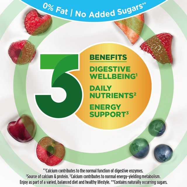 Activia Strawberry Raspberry Cherry & Blueberry No Added Sugar Fat Free    8 x 115g - McGrocer