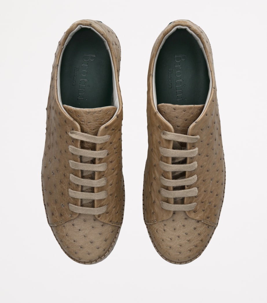 Brotini ostrich leather sneakers - British product