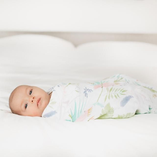 Aden + Anais Muslin Swaddle Blankets Tropicalia   4 per pack - McGrocer