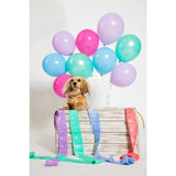 Adios Compostable Dog Poo Bags - Rainbow    120 per pack - McGrocer