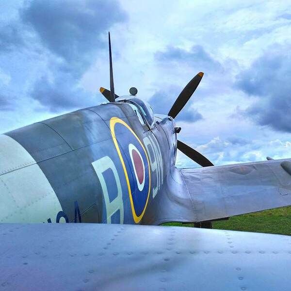 Adopt a Spitfire - McGrocer