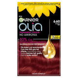 Garnier Olia Bold Permanent No Ammonia Hair Dye Intense Red 6.60 - McGrocer