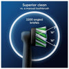 Oral-B Pro Cross Action black toothbrush heads (British brand)