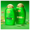 OGX Rosemary Mint Clarifying Shampoo 385ml , imported from the UK