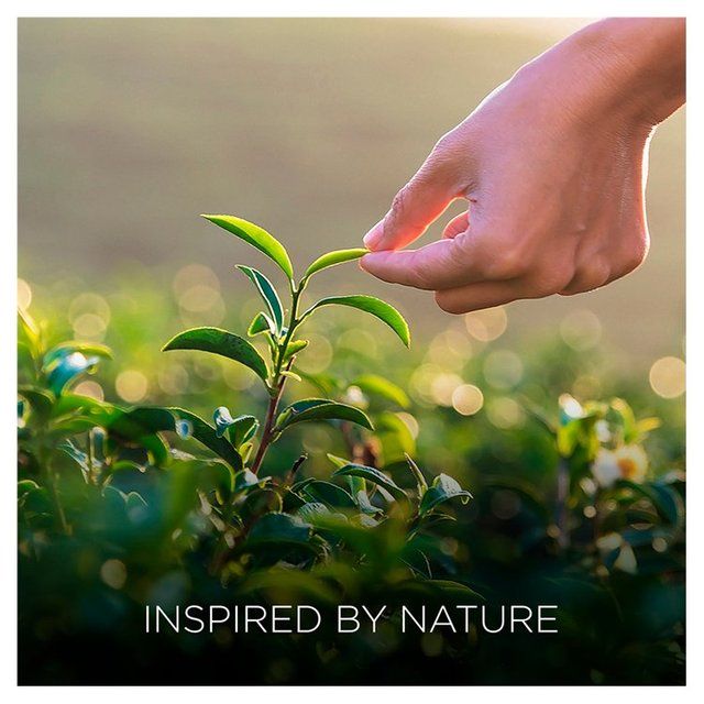 Airwick Botanica Candle Caribbean Vetiver & Sandalwood   205g - McGrocer