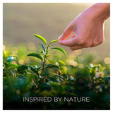 Airwick Botanica Reed Caribbean Vetiver & Sandalwood   80ml - McGrocer