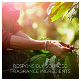 Airwick Botanica Reed Pineapple & Tunisian Rosemary   80ml - McGrocer