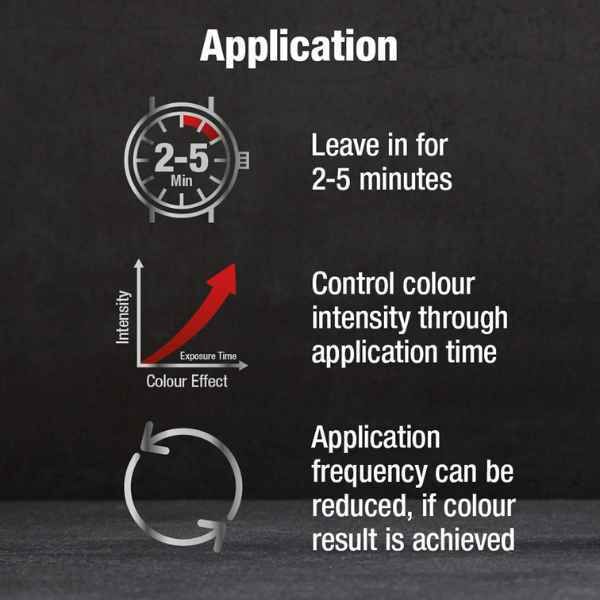 Alpecin Grey Attack Caffeine & Colour Shampoo 2x 200ml - McGrocer